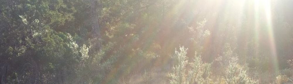 The Institute of Light and Joy