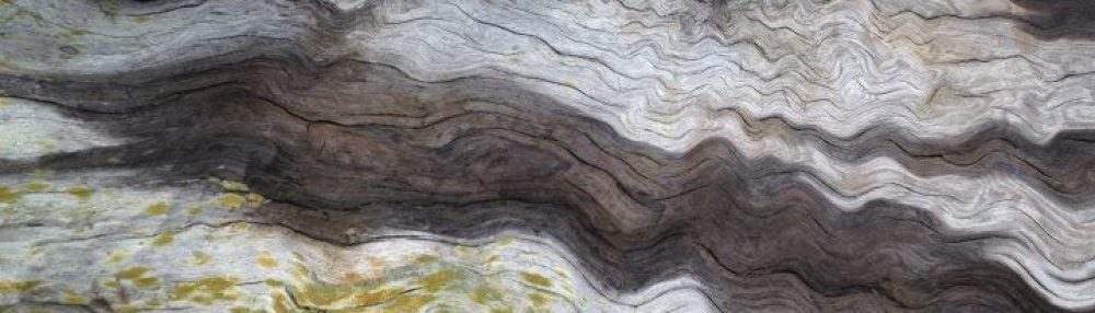 The Institute of Light and Joy