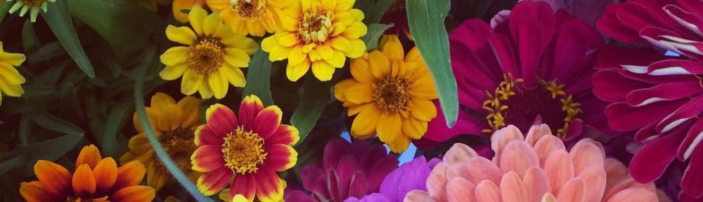 The Institute of Light and Joy